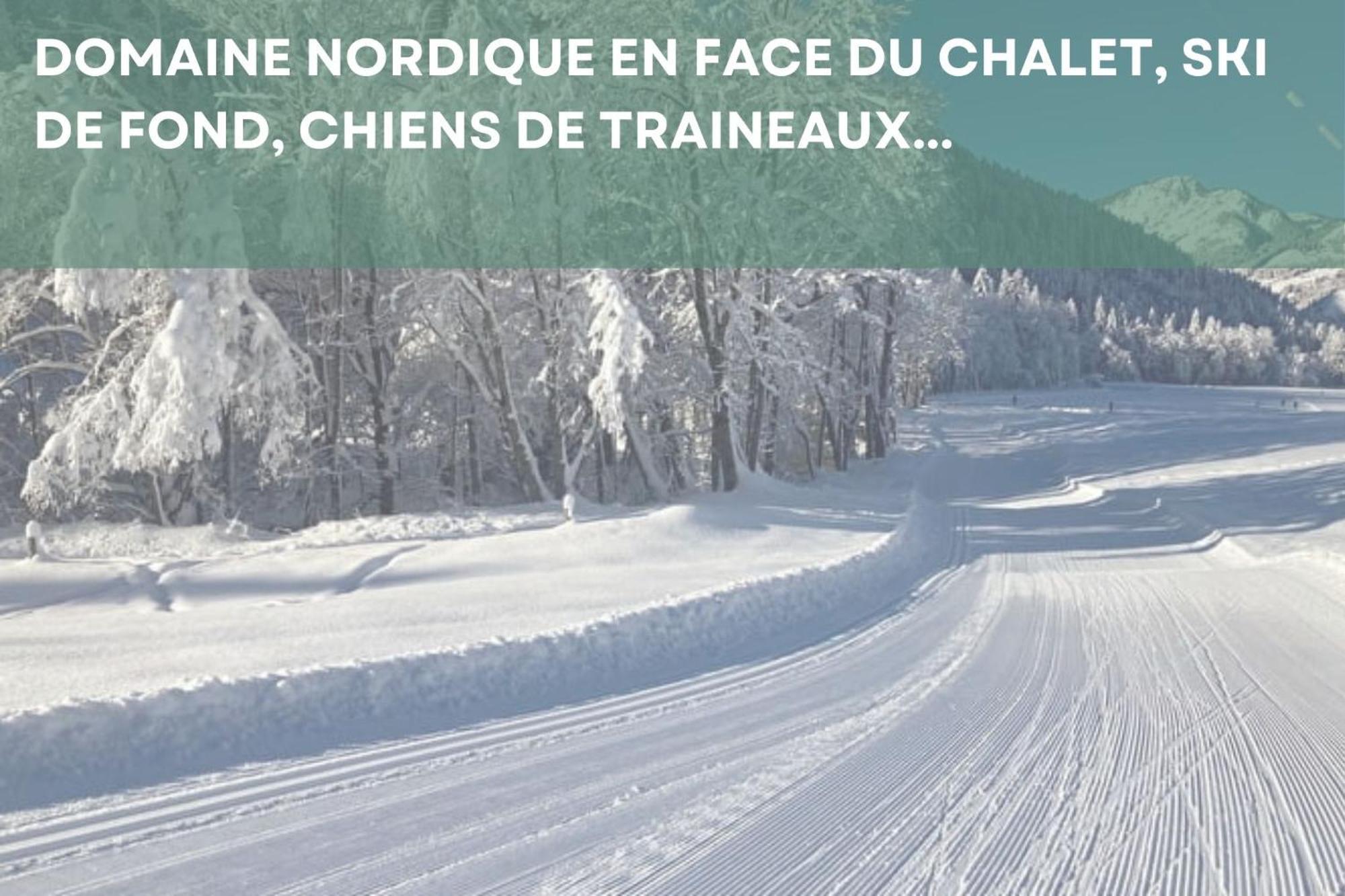 Chalet Les 4 Saisons - Ski, Parking Et Jardin Abondance Zewnętrze zdjęcie