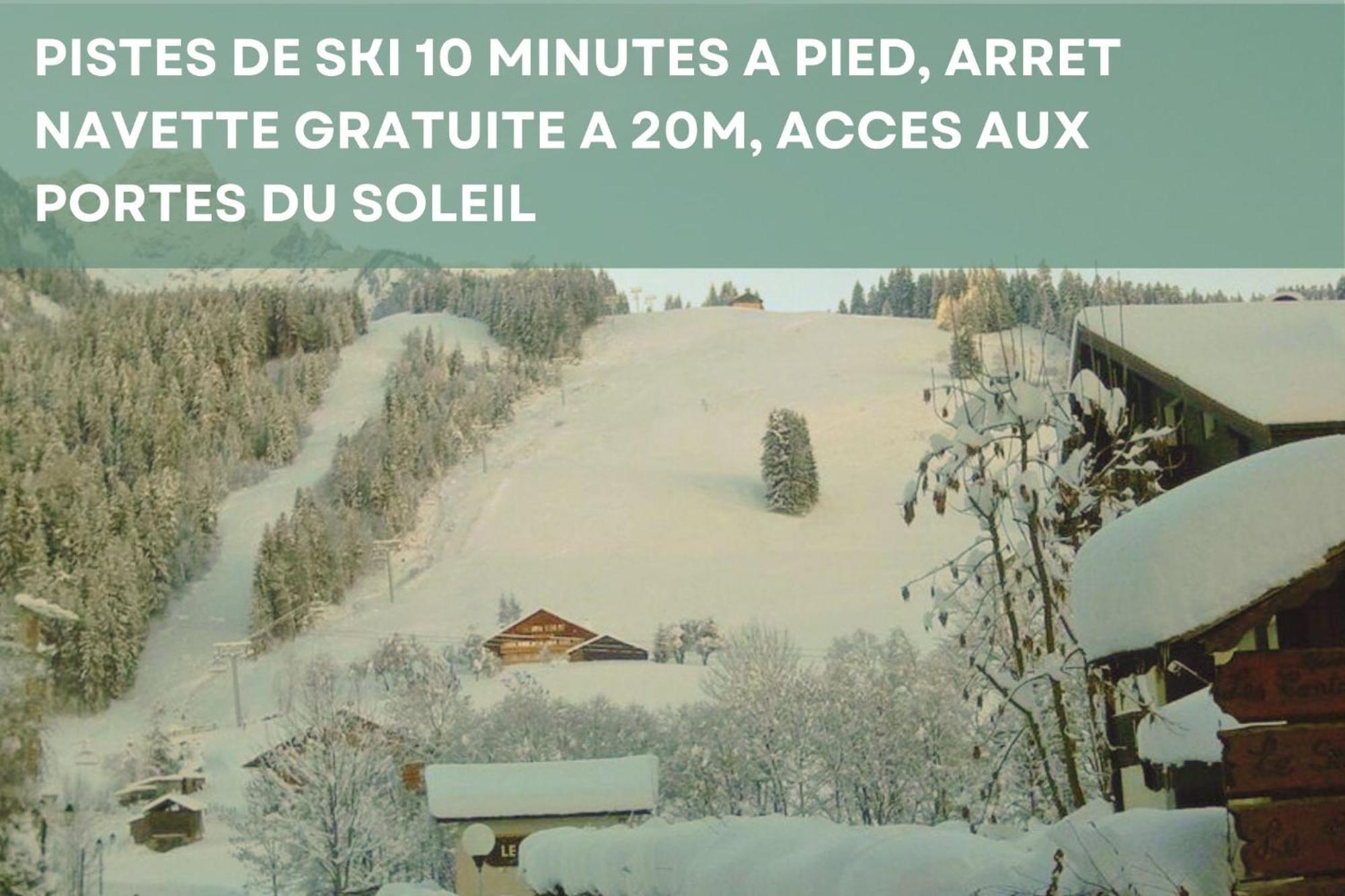 Chalet Les 4 Saisons - Ski, Parking Et Jardin Abondance Zewnętrze zdjęcie
